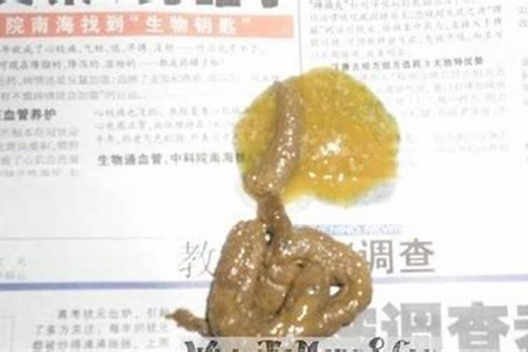 梦见别人拉屎 梦见别人拉屎有什么意思