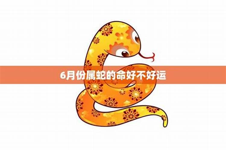 71年属猪女人好不好 1971年属猪的女人命运怎么样