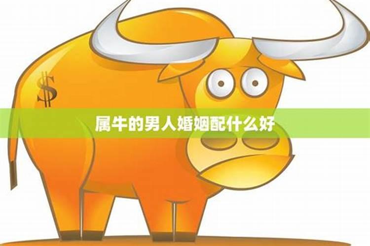 1985属牛男的人2024年运势及运程