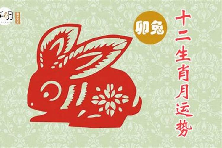 八字中配偶很爱自己的女命