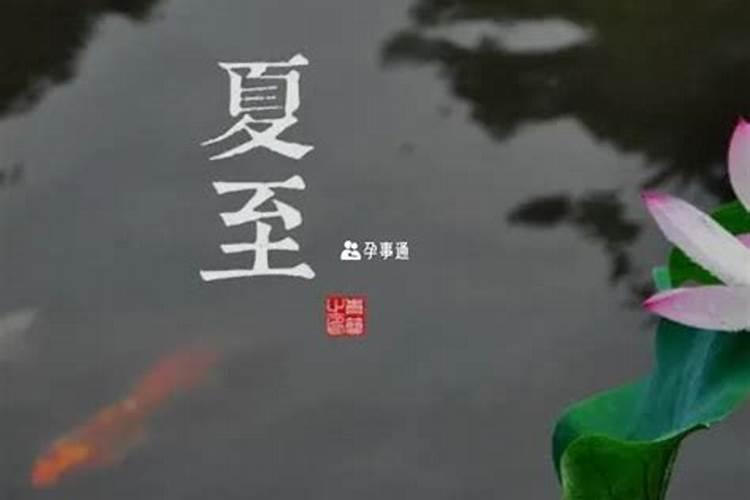2025属鼠人每月运势及运程如何