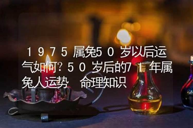 50岁虎2024年运势如何
