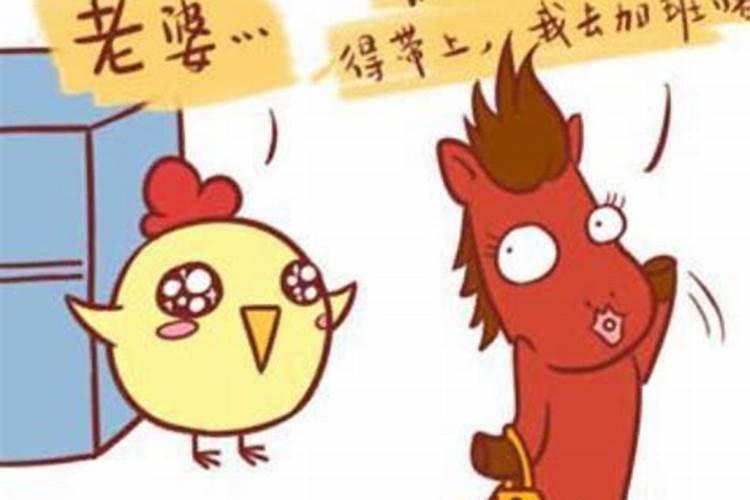 男马女鸡属相合不合