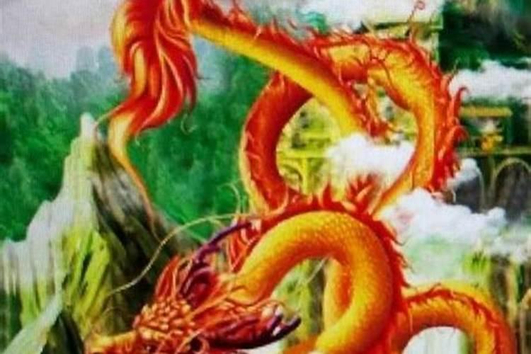 龙虎属相的夫妻可以吗,婚姻配偶。龙虎能成夫妻吗
