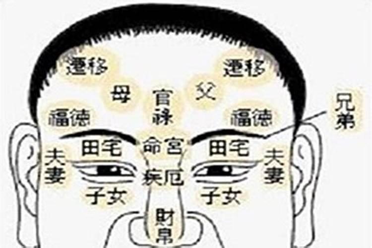 属猪人2025年每月运势
