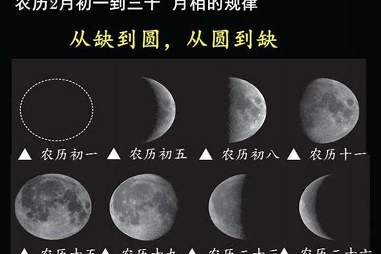 阴历三月十五是哪位神仙的生日