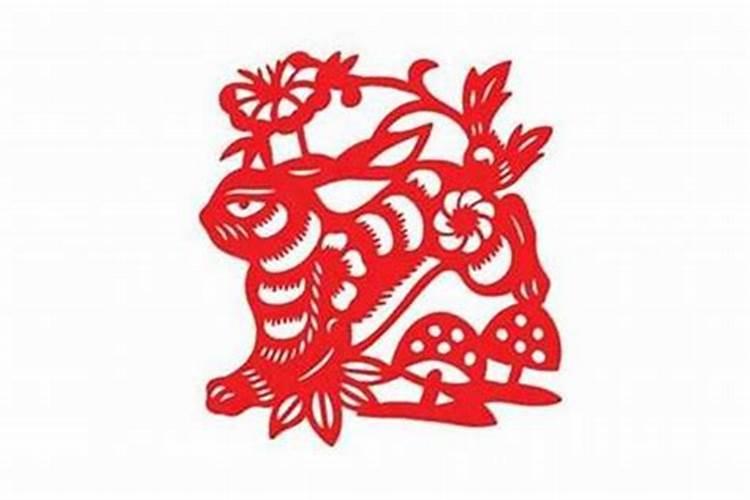 99年兔和00年龙相配吗,八字不合能结婚吗？