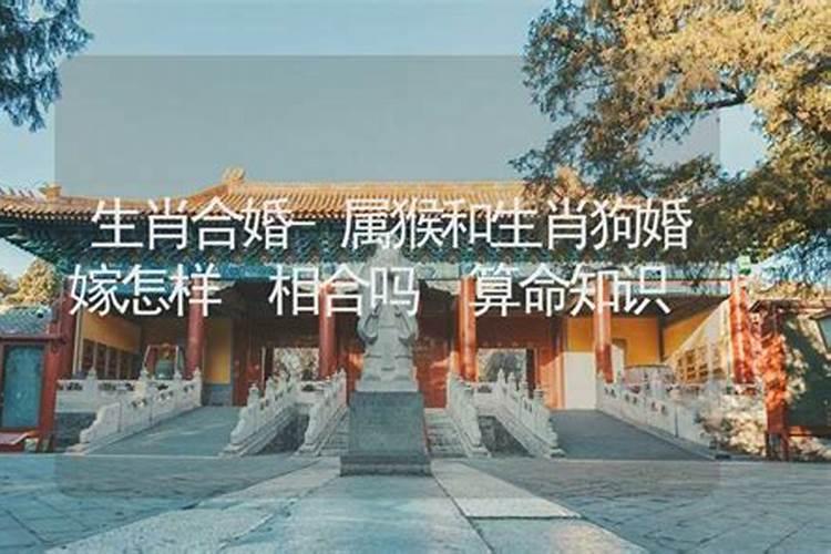 正月初二到三十没有正月初一表示什么意思？