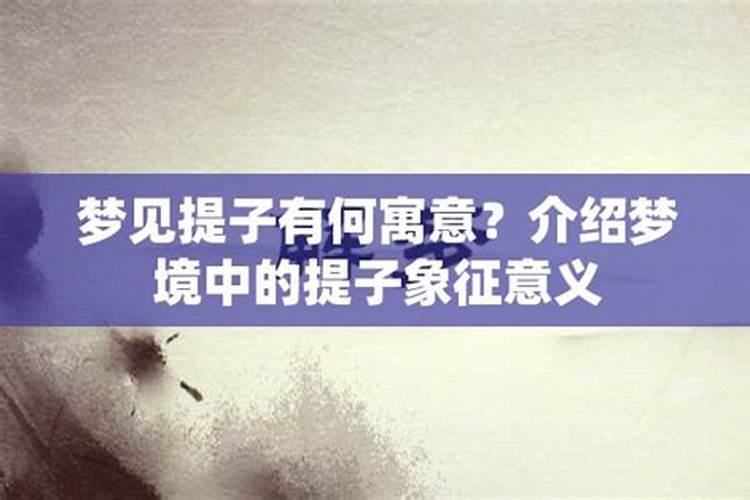梦见提子也就是葡萄的一种,是什么意思,象征什么啊？
