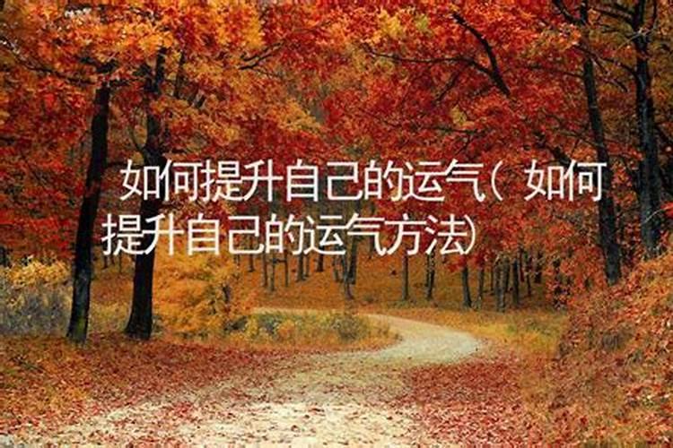 论二十四节气之冬至如何养生？
