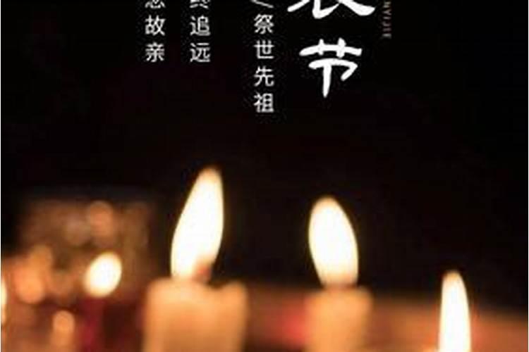 梦见猫猫扑过来咬自己的预兆