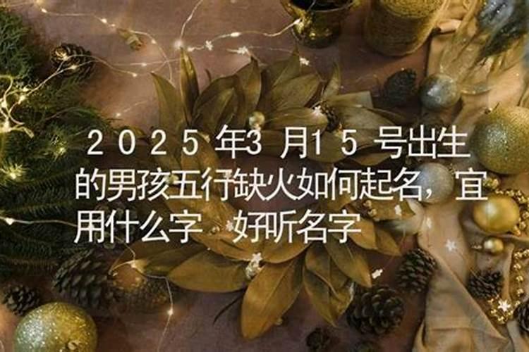 属鸡人2025年走大运