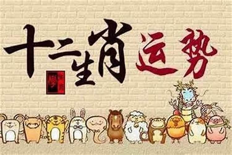 批八字是什么意思？