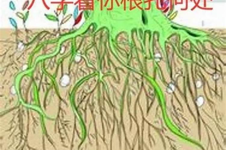有佛缘的人会有哪些现象