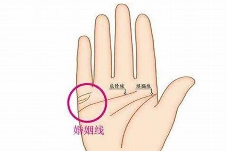 双川字掌的女人桃花运稳重踏实独立性强？