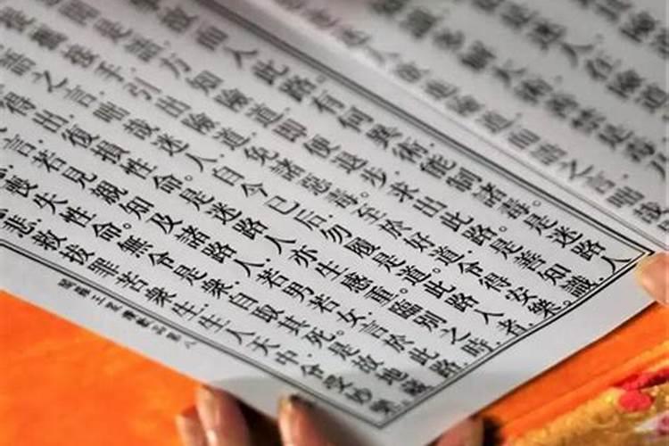亡灵是什么