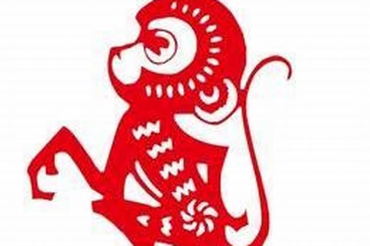 梦见一黑猫向我扑来的预兆