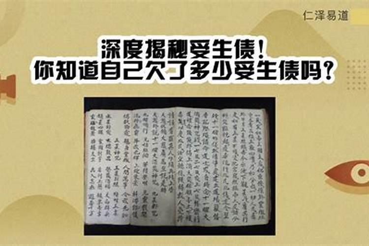 怎么查受生债及受生债查询表