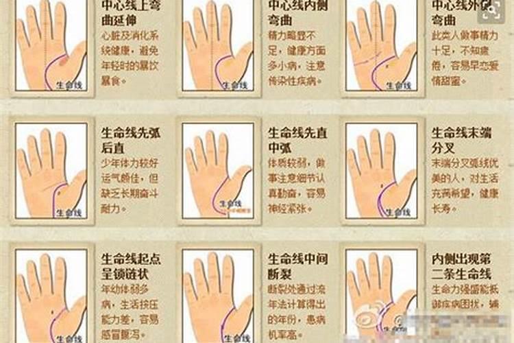 梦见已故的爷爷复活的预兆