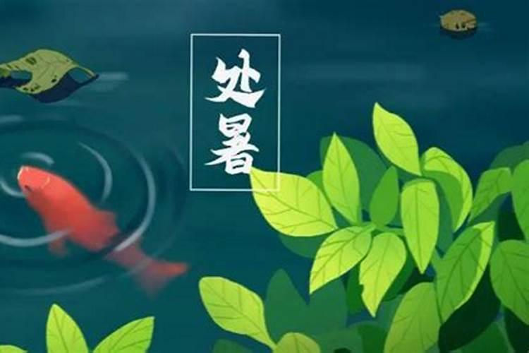 属马的几月出生最好命细数12月详细命运