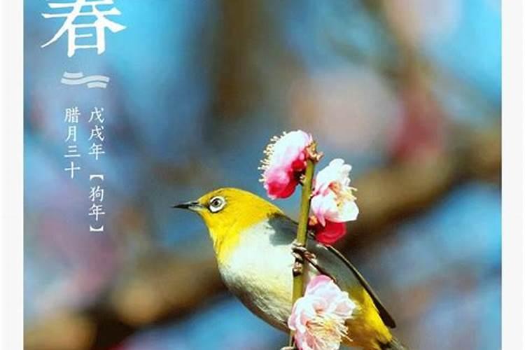 农历12月出生属马人命好吗