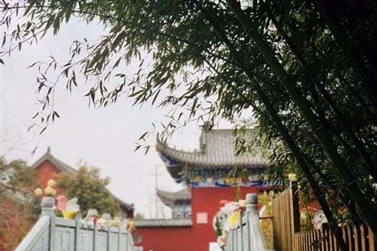 临沂市临沭县开展全员核酸检测大比武,这种做法是否值得称赞呢？百度...