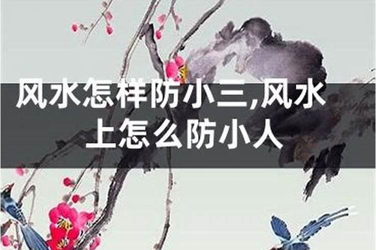 腊八粥的八种材料