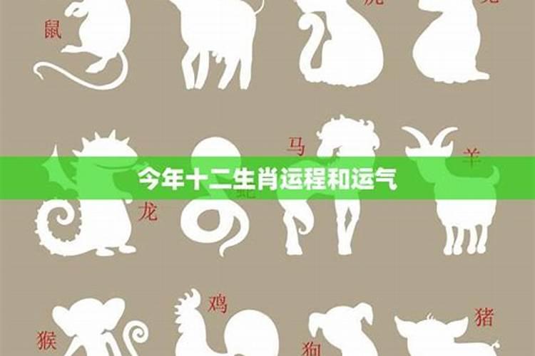 我1987年10月24日凌晨三点出生,请高人算算我的生辰八字