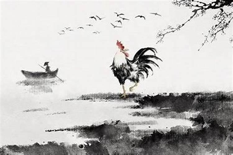 2005年属鸡的人是什么命