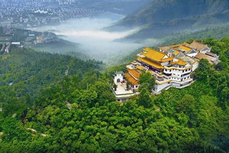 苏轼的出生年份是什么？