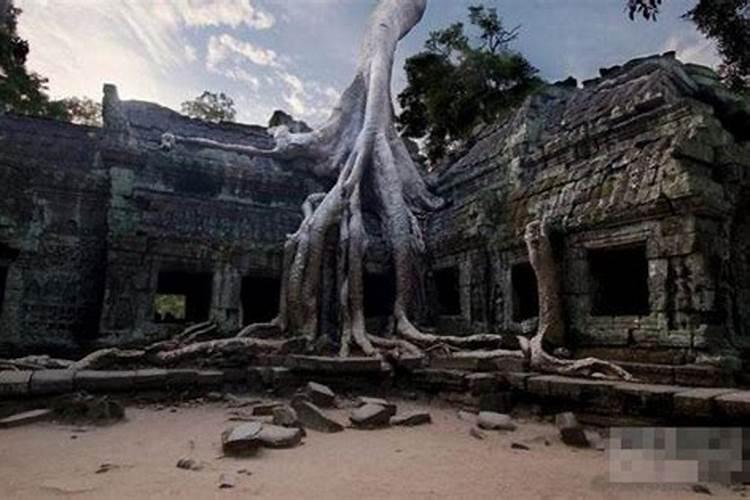 戊戌与癸卯天合地合详解婚姻 八字日柱恋爱观大揭秘？