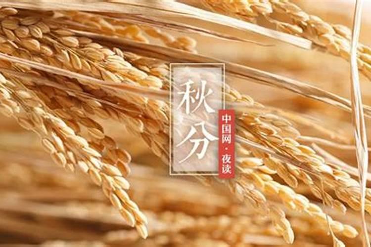 2024年2月18日是星期日,3月15日是星期几？怎么做？