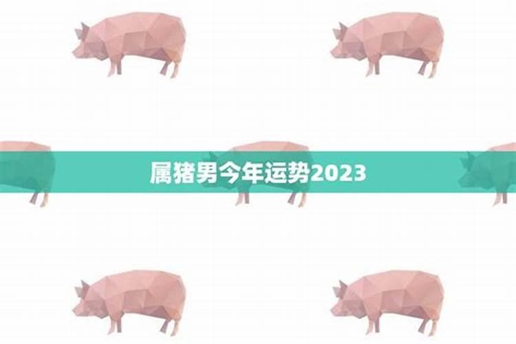 董易奇十二生肖2025运程