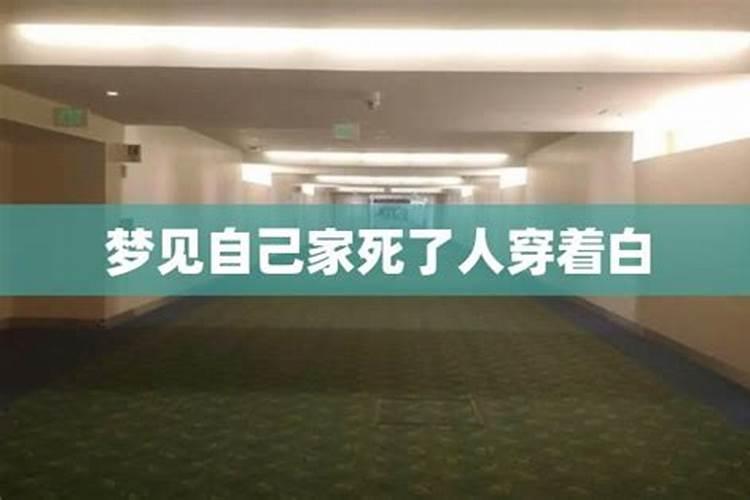 羊鼠怎么样才不克 为什么要化解羊鼠相克？