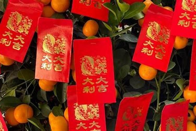 怎么养殖太岁如何养殖太岁