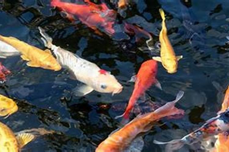 双八字结的特征是耐力强牢固