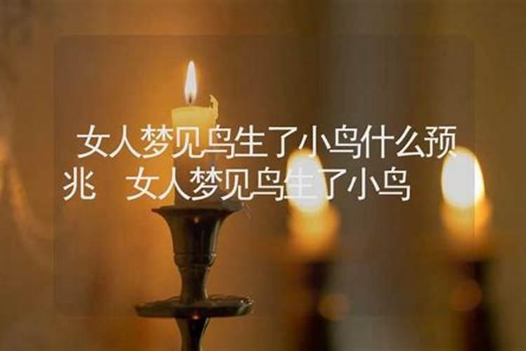 梦见两只小鸟