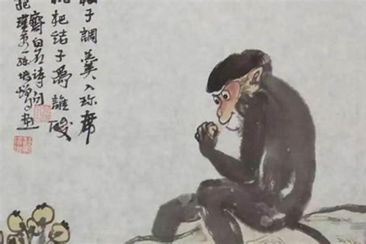 95年属猪2025年运势及运程