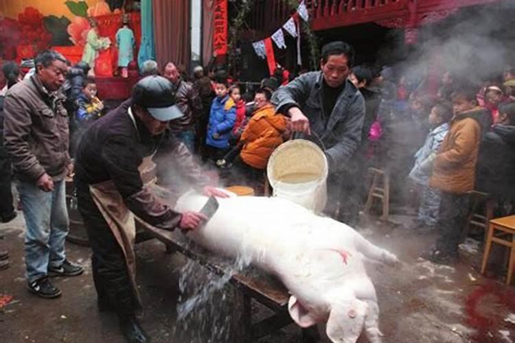 1980年的猴最佳配偶