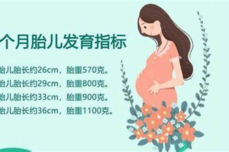 2025犯太岁的属相都是什么