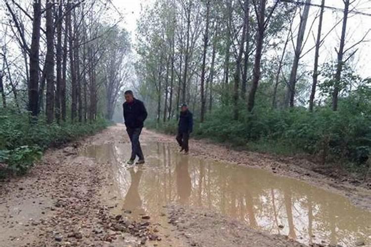 梦见骑车路坑洼不平