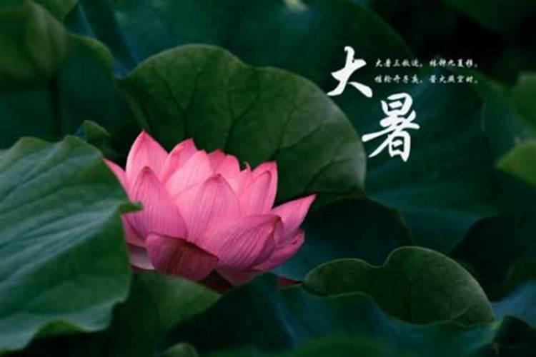 莱州乡镇公交车多长时间一班车
