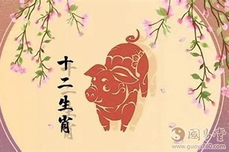 猪年在鼠年运气怎样,猪人遇鼠年的流年运势