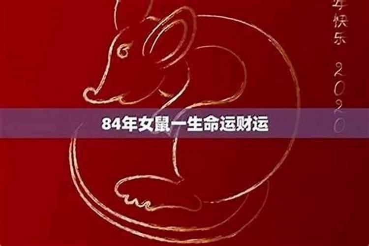 72年属鼠2024年的运程每月运势