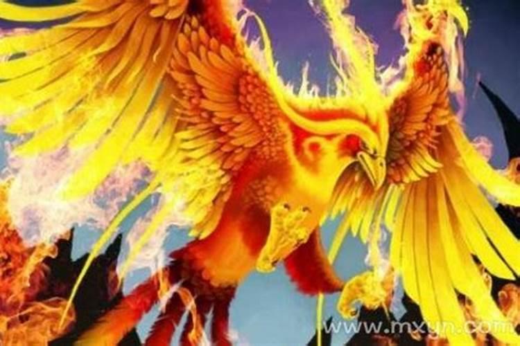梦见凤凰是什么预兆