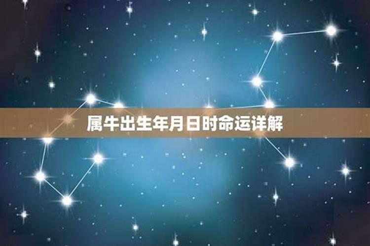我是1981年7月14生帮忙占卜人生