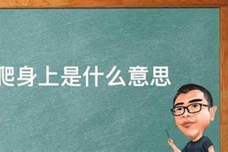 明年是属什么年