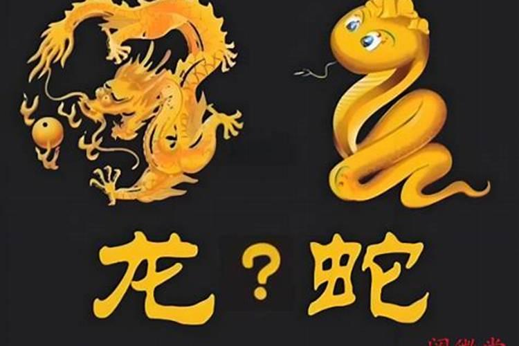 2024年出生是真龙还是假龙 2024年出生大富大贵的命