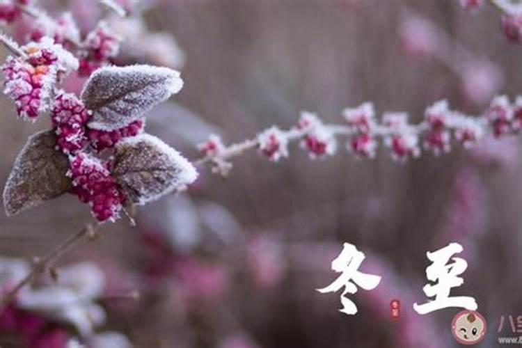 冬至温馨祝福语文案