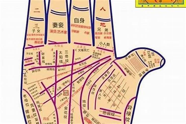 天生做官的手相(成功线粗且直 事业线直达中指根部 财、官、禄三宫隆起...
